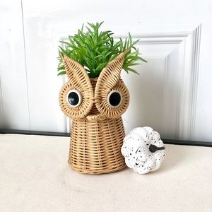 Small owl wicker planter